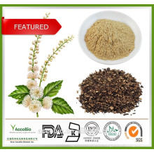 GMP Factory Supply Black Cohosh Extract Powder, Black Cohosh P.E bulk, Triterpenoid Saponins